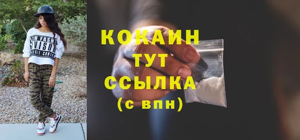 2c-b Богородицк