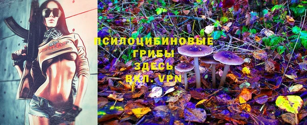 МДПВ Богданович