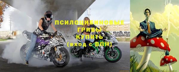2c-b Богородицк